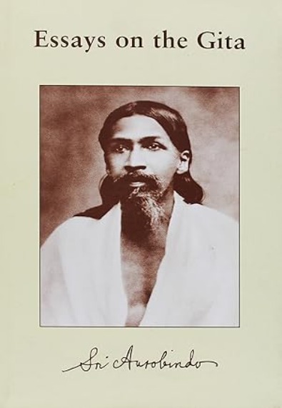 Essays on the Gita